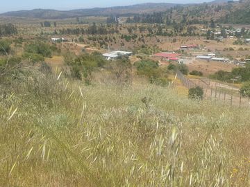Bella Parcela en sector Lagunillas de Casablanca, Quinta Región $64.990.000