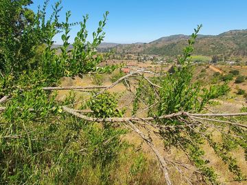 Bella Parcela en sector Lagunillas de Casablanca, Quinta Región $64.990.000
