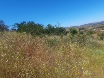 Bella Parcela en sector Lagunillas de Casablanca, Quinta Región $64.990.000