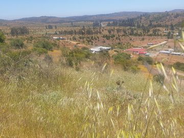 Bella Parcela en sector Lagunillas de Casablanca, Quinta Región $64.990.000