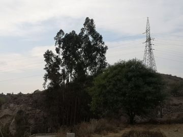 ¡VEN Y DESCUBRE LA SUCURSAL DEL CIELO EN LA TIERRA UBICADO EN ASA!