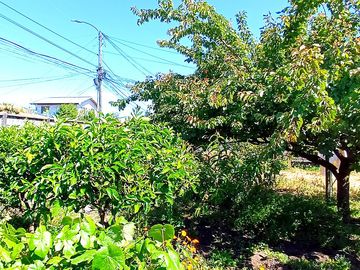 Casa en Villa Libertad, Chiguayante
