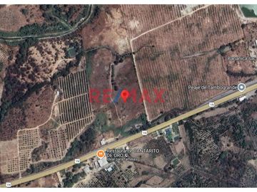 Venta De Terreno De 9.9 Héctareas Al Pie De Carretera // ID: 1121046