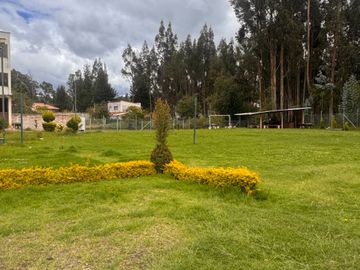 D355 HERMOS DEPARTAMENTO DE VENTA, Sector Ochoa León D355