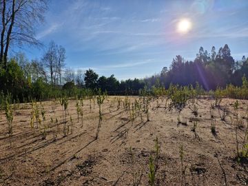Venta sitios en Concepción, exclusivo Proyecto Inmobiliario Country Los Robles. Camino a Florida