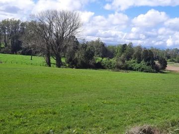 Se vende parcela en Condominio Vista el Caulle, Lago Ranco OPORTUNIDAD