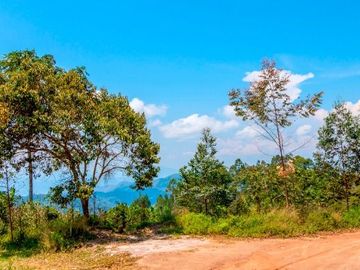 Fundo Bocatigre II: Tu Refugio Natural En El Corazón De La Selva Peruana