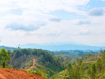 Fundo Bocatigre II: Tu Refugio Natural En El Corazón De La Selva Peruana