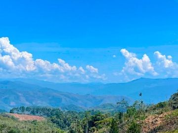 Fundo Bocatigre II: Tu Refugio Natural En El Corazón De La Selva Peruana