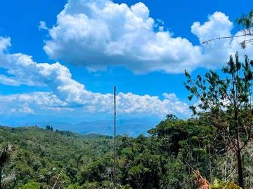 Fundo Bocatigre II: Tu Refugio Natural En El Corazón De La Selva Peruana