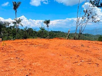 Fundo Bocatigre II: Tu Refugio Natural En El Corazón De La Selva Peruana