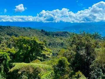 Fundo Bocatigre II: Tu Refugio Natural En El Corazón De La Selva Peruana
