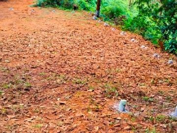 Fundo Bocatigre II: Tu Refugio Natural En El Corazón De La Selva Peruana