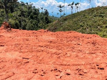 Fundo Bocatigre II: Tu Refugio Natural En El Corazón De La Selva Peruana