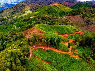 Fundo Bocatigre II: Tu Refugio Natural En El Corazón De La Selva Peruana
