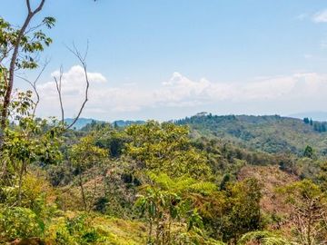 Fundo Bocatigre II: Tu Refugio Natural En El Corazón De La Selva Peruana