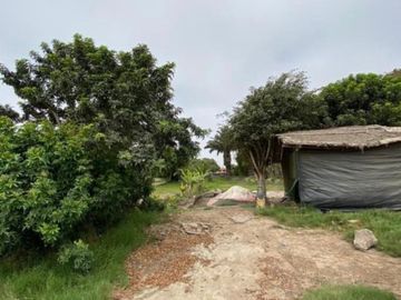 TERRENO EN LURÍN IDEAL ALMACÉN, RESTAURANTE CAMPESTRE, CAMPO SANTO