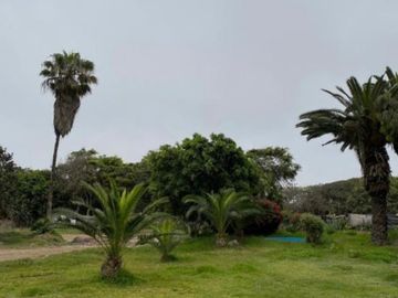 TERRENO EN LURÍN IDEAL ALMACÉN, RESTAURANTE CAMPESTRE, CAMPO SANTO