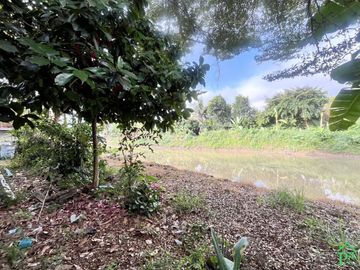 Thai-Oriental Style house in Lamphun for sale.