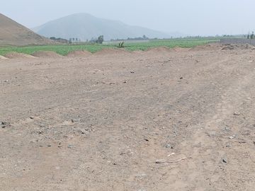 VENTA DE TERRENO EN CHANCAY, 1.15 HAS Y 1.22 HAS, ALTURA KM 74-75, TERRENO IDEAL PARA GRIFO