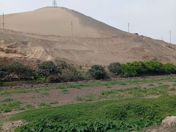 VENTA DE TERRENO EN CHANCAY, 1.15 HAS Y 1.22 HAS, ALTURA KM 74-75, TERRENO IDEAL PARA GRIFO