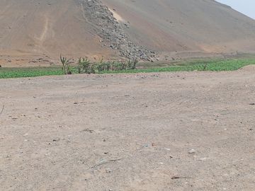 VENTA DE TERRENO EN CHANCAY, 1.15 HAS Y 1.22 HAS, ALTURA KM 74-75, TERRENO IDEAL PARA GRIFO