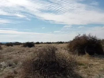 Venta De Parcela En Cauquenes, El Maule.