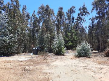 Venta Parcela Con Casa - Fundo La Petrilla