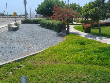 VENTA DE TERRENO EN CONDOMINIO LA ALBORADA, ASIA