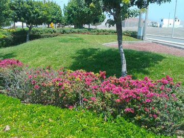 VENTA DE TERRENO EN CONDOMINIO LA ALBORADA, ASIA