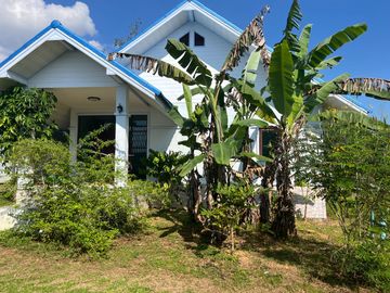4 Garden Houses and Various Fruit Trees for Sale in Thai Mueang, Phangnga
