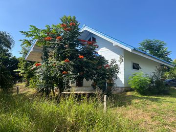 4 Garden Houses and Various Fruit Trees for Sale in Thai Mueang, Phangnga
