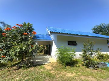 4 Garden Houses and Various Fruit Trees for Sale in Thai Mueang, Phangnga