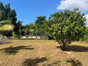 4 Garden Houses and Various Fruit Trees for Sale in Thai Mueang, Phangnga