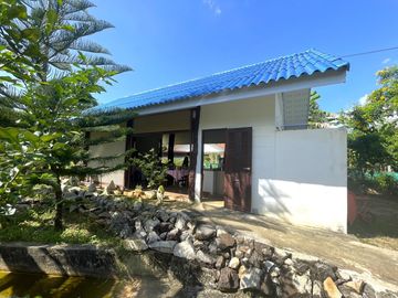 4 Garden Houses and Various Fruit Trees for Sale in Thai Mueang, Phangnga