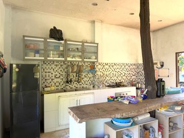 4 Garden Houses and Various Fruit Trees for Sale in Thai Mueang, Phangnga