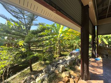 4 Garden Houses and Various Fruit Trees for Sale in Thai Mueang, Phangnga