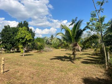 4 Garden Houses and Various Fruit Trees for Sale in Thai Mueang, Phangnga