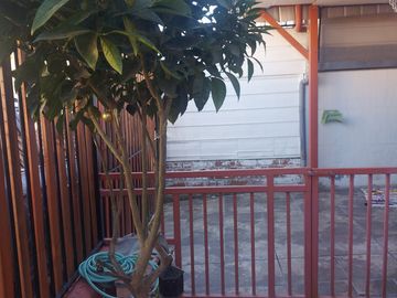 SE VENDE AMPLIA CASA EN INVICA, PLACILLA