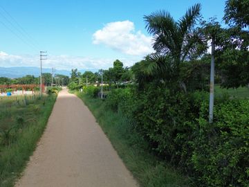 ¿Te gustaría tener tu propio terreno cerca de Tarapoto? Tengo uno de 480 m² pasando 'La Laguna Venecia'. ¡Es un lugar tranquilo y bien ubicado!