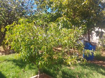 SE VENDE AMPLIA CASA EN  EL TERCER SECTOR DE PLAYA ANCHA