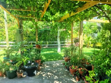 Parcela Con Excelente Casa, Isla De Maipo 3d/2b