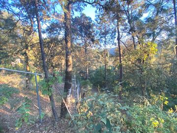 TERRENO DE 5300M2, LOCALIDAD: PINO REAL, KM 25, CARRETERA MORELIA- MIL CUMBRES