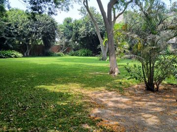 Se Vende Terreno En Av. Nueva Toledo Cieneguilla