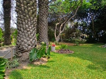 Se Vende Terreno En Av. Nueva Toledo Cieneguilla