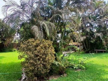 Se Vende Terreno En Av. Nueva Toledo Cieneguilla