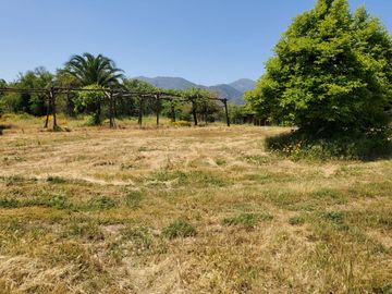 Venta De Propiedad Para Uso Comercial O Inmobiliario