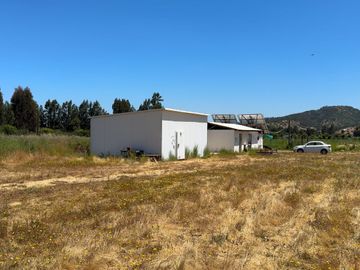 Campo con huerto de Arándanos en Pumanque, Región de O'Higgins