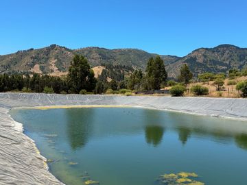 Campo con huerto de Arándanos en Pumanque, Región de O'Higgins