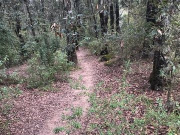 Terreno en Venta Omitlán de Juárez Hidalgo